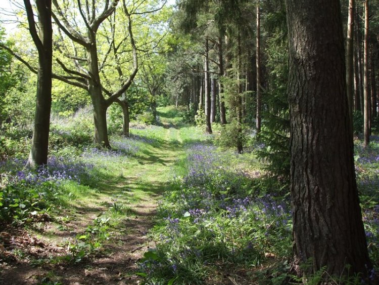 Click for the gallery page to add comments and vote (PID:29943) Woodbury Hill (Worcestershire)