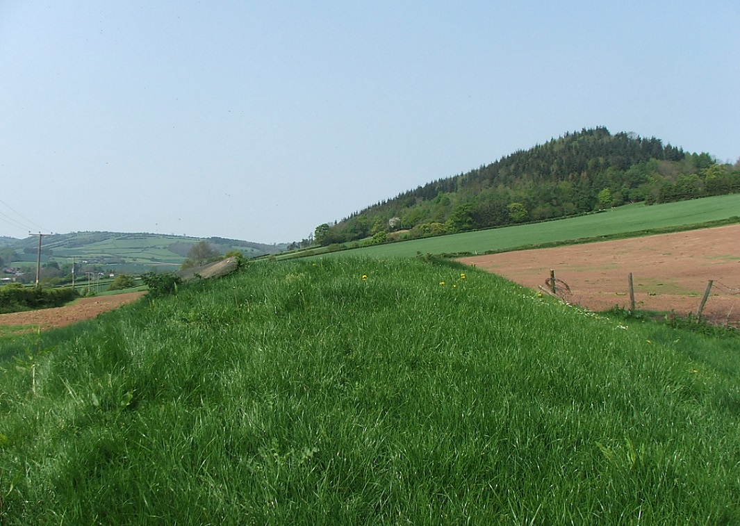Click for the gallery page to add comments and vote (PID:130938) Great Llanavon Farm
