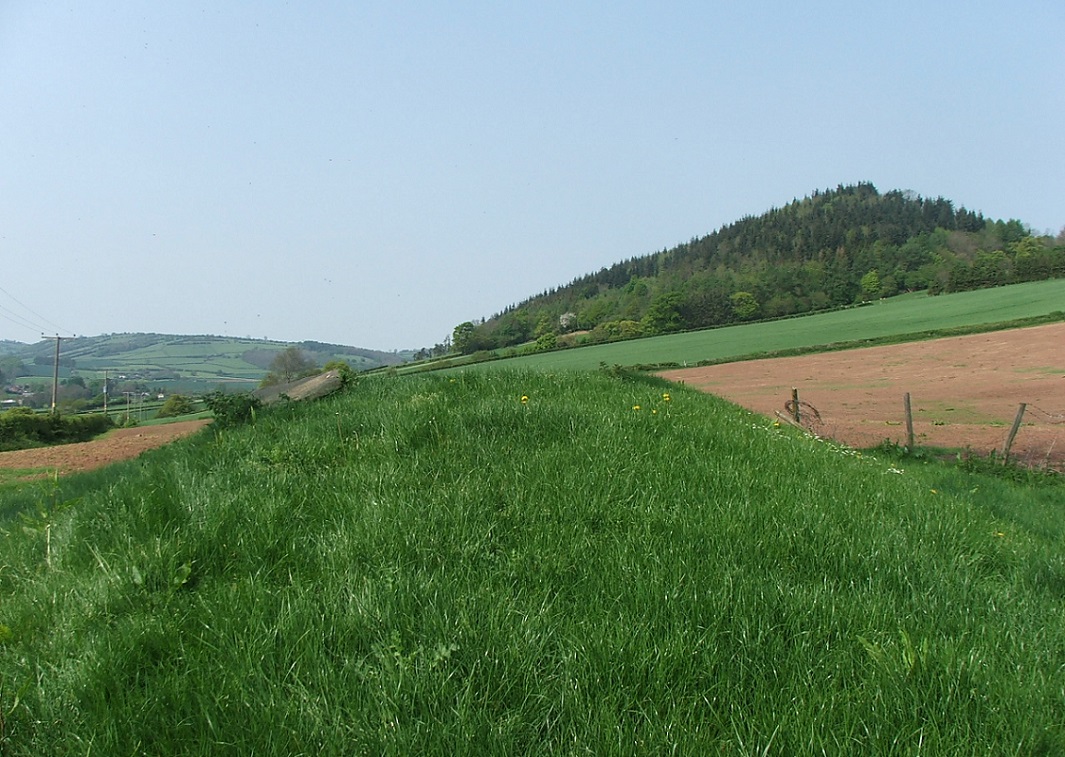 This long barrow forms part of an alignment of ancient places, well, three of them, Dorstone hill in the background has an Iron age hill fort on it, and on the other side is Arthur's stone burial chamber. Connect three.