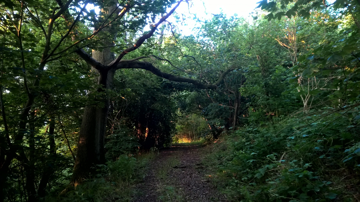 The Berrow