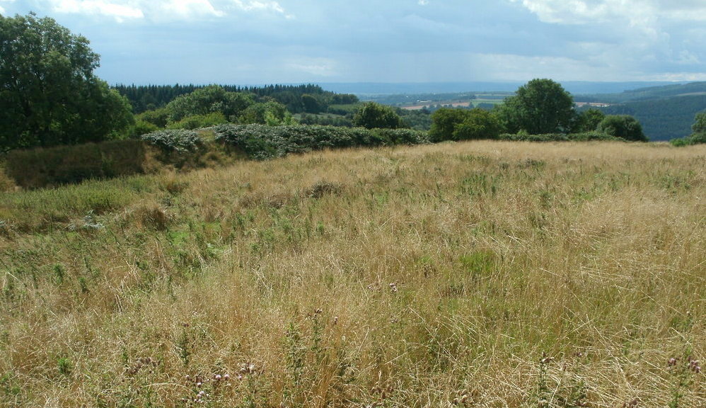 Croft Ambrey, looking South West from the middle of the fort.
