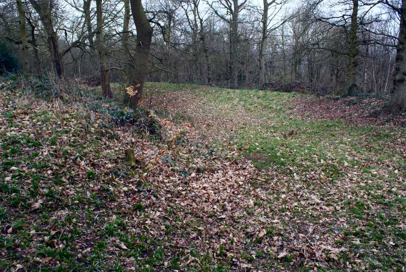 Click for the gallery page to add comments and vote (PID:74359) Wassell Wood earthwork