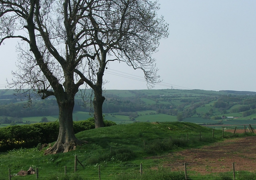 Looking over the Neolithic long barrow into the wonderfully named Golden valley.