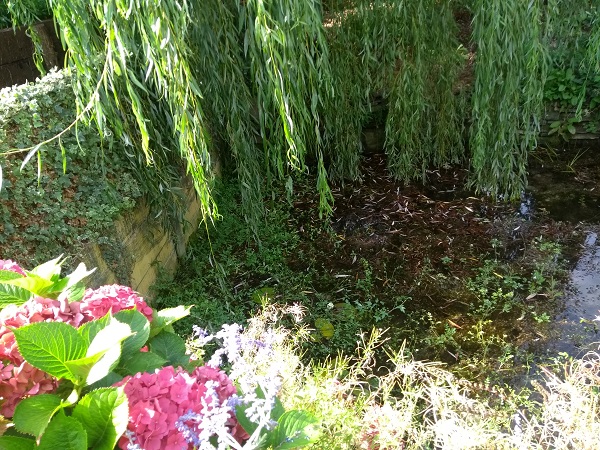 Click for the gallery page to add comments and vote (PID:185449) Holy Well (Blakemere)