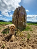 The Queen Stone - PID:306948