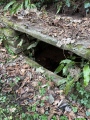 St. Clodock's Well - PID:254530