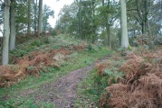 Aconbury Hill - PID:43681