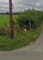 Blackwardine Crossroads - PID:133433