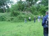 Risbury Camp - PID:133417
