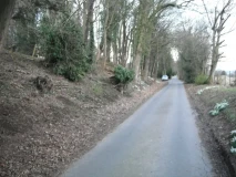 Lyonshall Bank