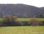 The Queen Stone