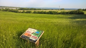 New Farm Roman Settlement