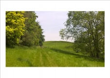 Conderton Camp