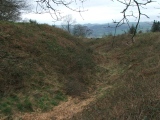Wapley Camp