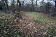 Wassell Wood earthwork - PID:74359
