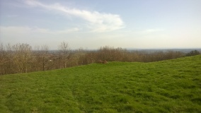 The Berrow