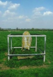 The Wergin's Stone