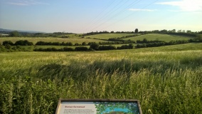 New Farm Roman Settlement