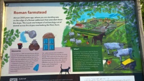 New Farm Roman Settlement