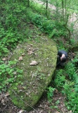 Pentre House Standing Stone