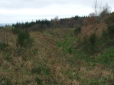 Wapley Camp