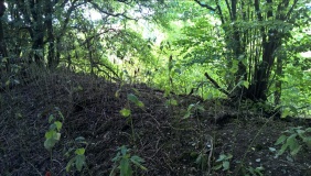 Gadbury Bank