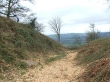 Wapley Camp