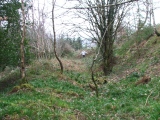 Wapley Camp