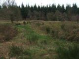 Wapley Camp
