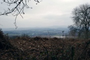 Wassell Wood earthwork - PID:74358