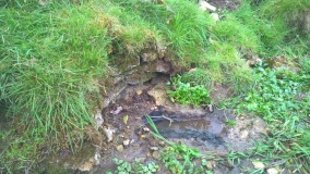 St. Catherine's Well (Eckington)