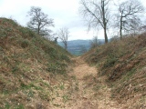 Wapley Camp