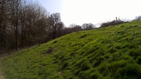 The Berrow