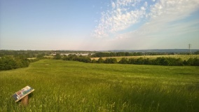 New Farm Roman Settlement