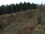 Wapley Camp