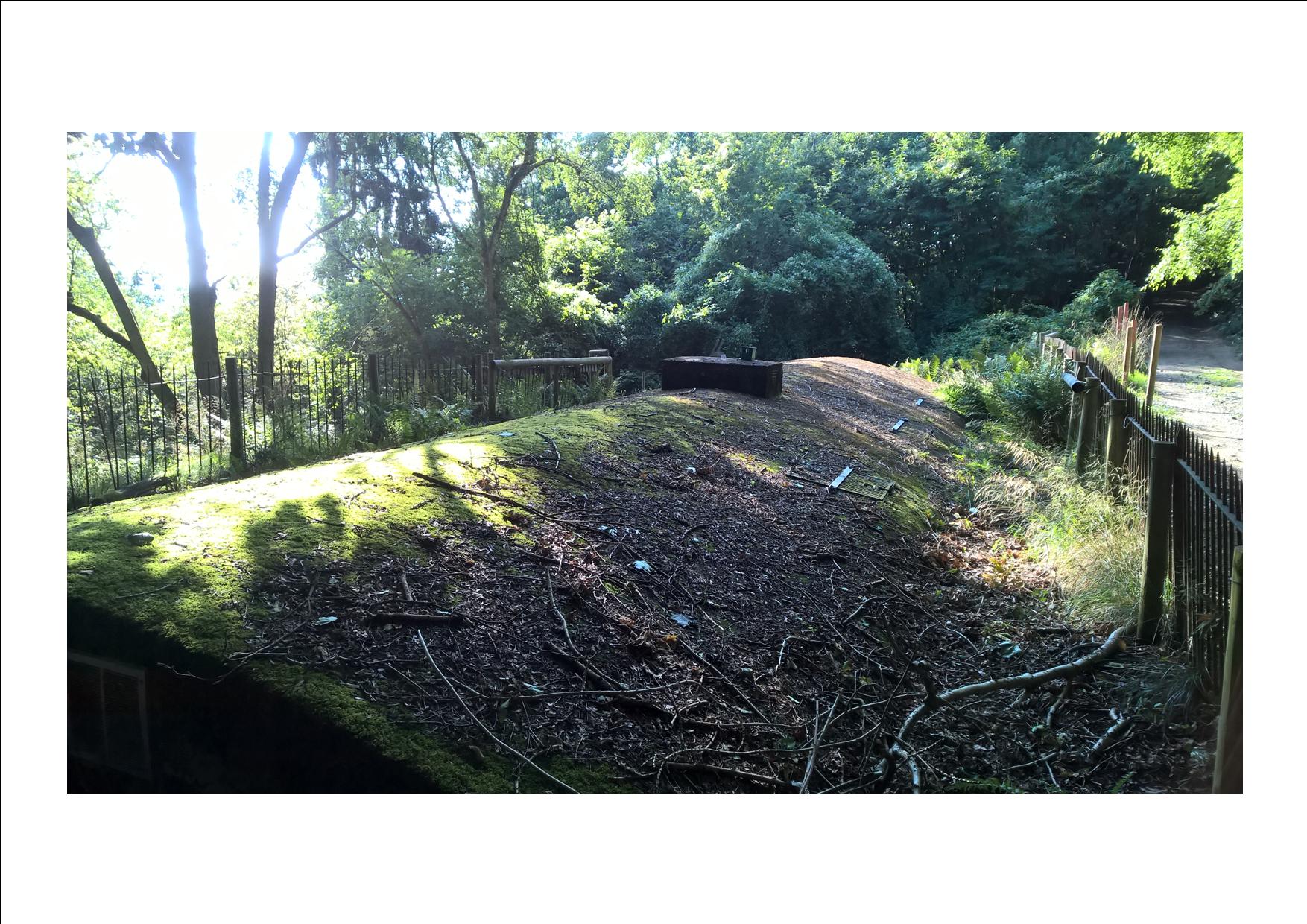 A covered reservoir acting as a collection cistern is sited opposite the well on the other side of the footpath. It was the original water supply to Eastnor Castle and village.