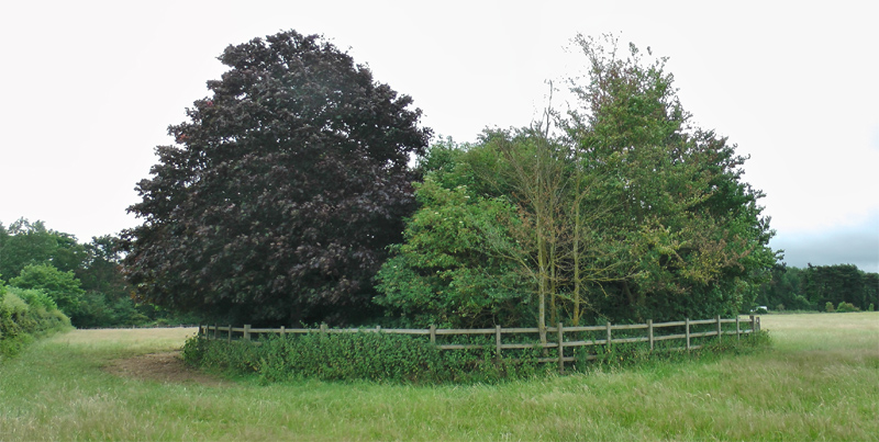 Click for the gallery page to add comments and vote (PID:167727) Boughton bowl barrow