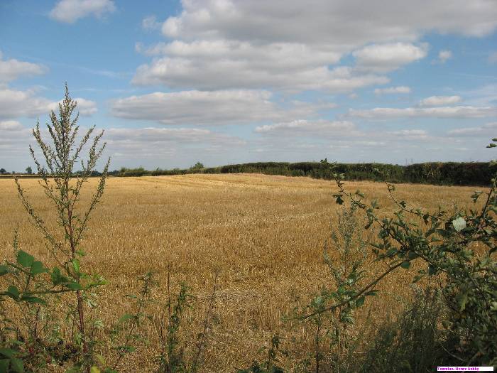 Mears Ashby Tumulus