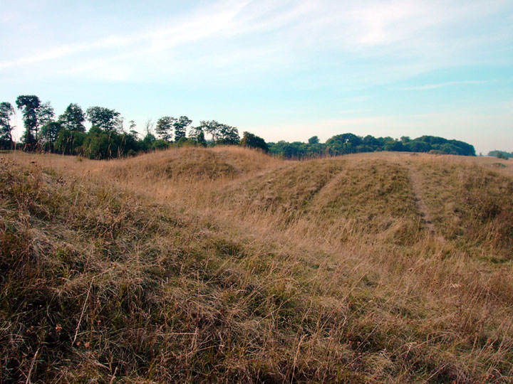 Click for the gallery page to add comments and vote (PID:3203) Therfield Heath