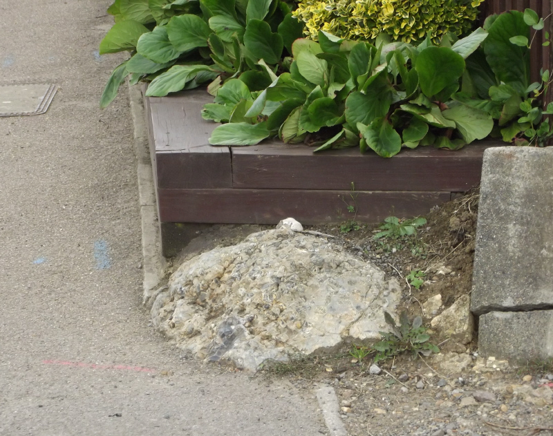 Click for the gallery page to add comments and vote (PID:171318) Towerhill (Herts) Puddingstone