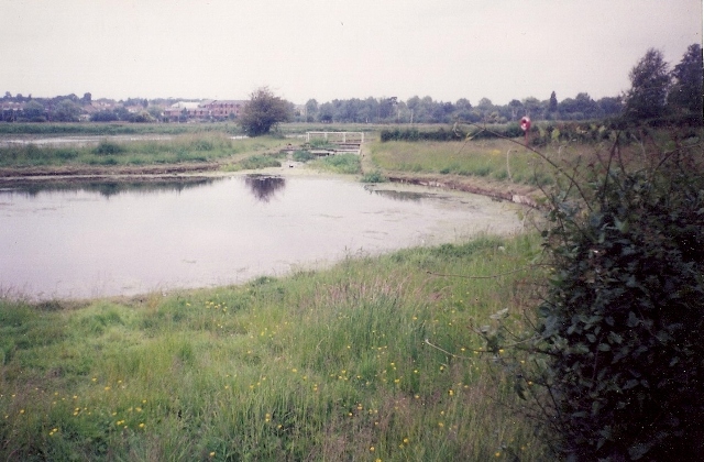 Chadwell Spring