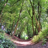 Devil's Dyke (Hertfordshire) - PID:259748 Devil's Dyke (Hertfordshire) - PID:259748
