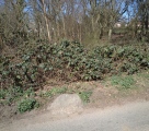 Patmore Heath - PID:287640