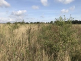 Wilbury Hill - PID:232064