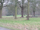 Cassiobury Park barrow - PID:129016