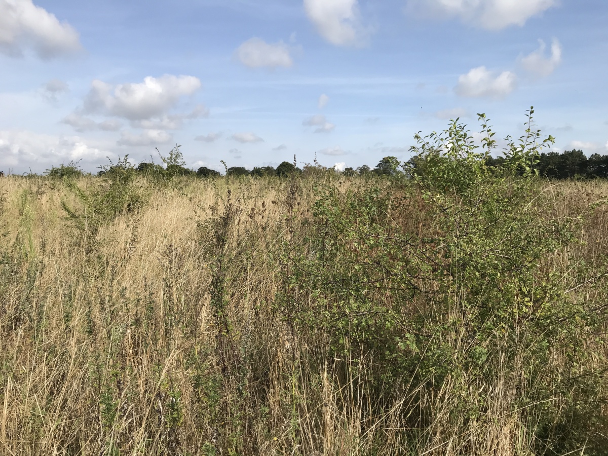 Click for the gallery page to add comments and vote (PID:232064) Wilbury Hill