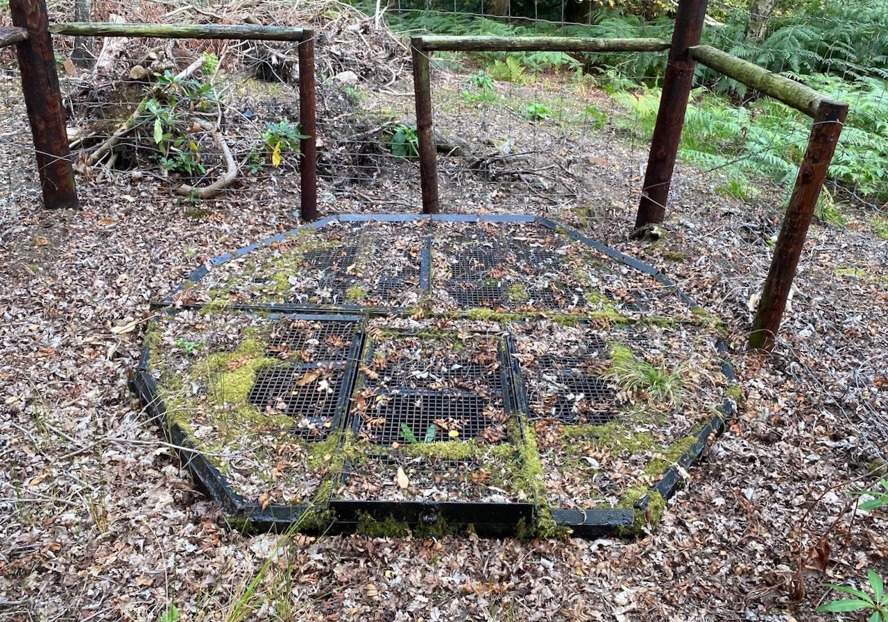 Griffin's Hole, covered by an iron grating as of 16 September 2023