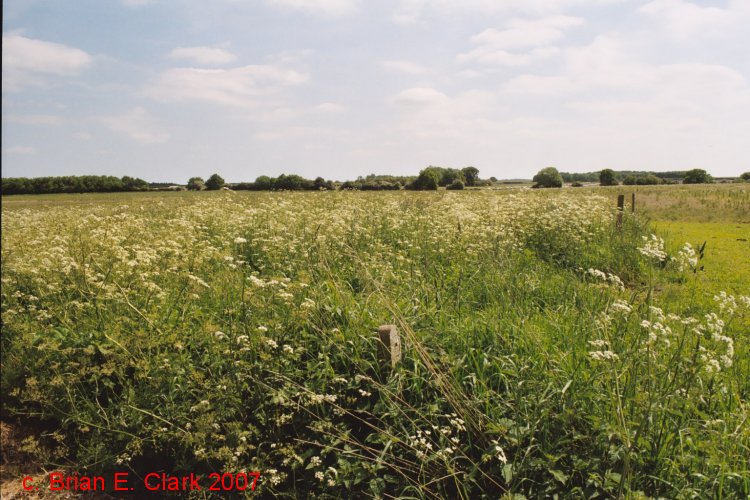West Rudham South, Norfolk | Megalithic Portal