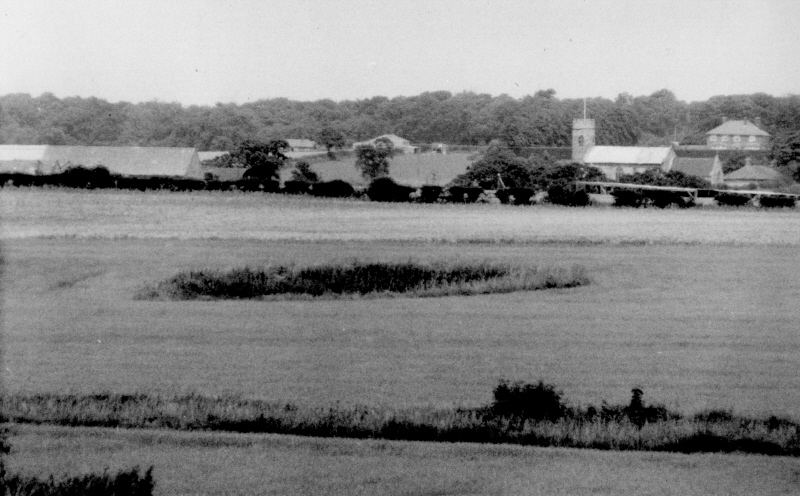 A photo of one of the 'Shrieking Pits' that I took in about 1975, with Aylmerton church beyond.