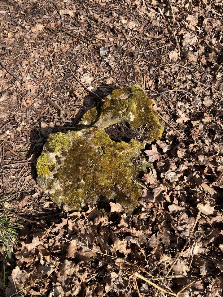 Click for the gallery page to add comments and vote (PID:274208) Grimes Puddingstone